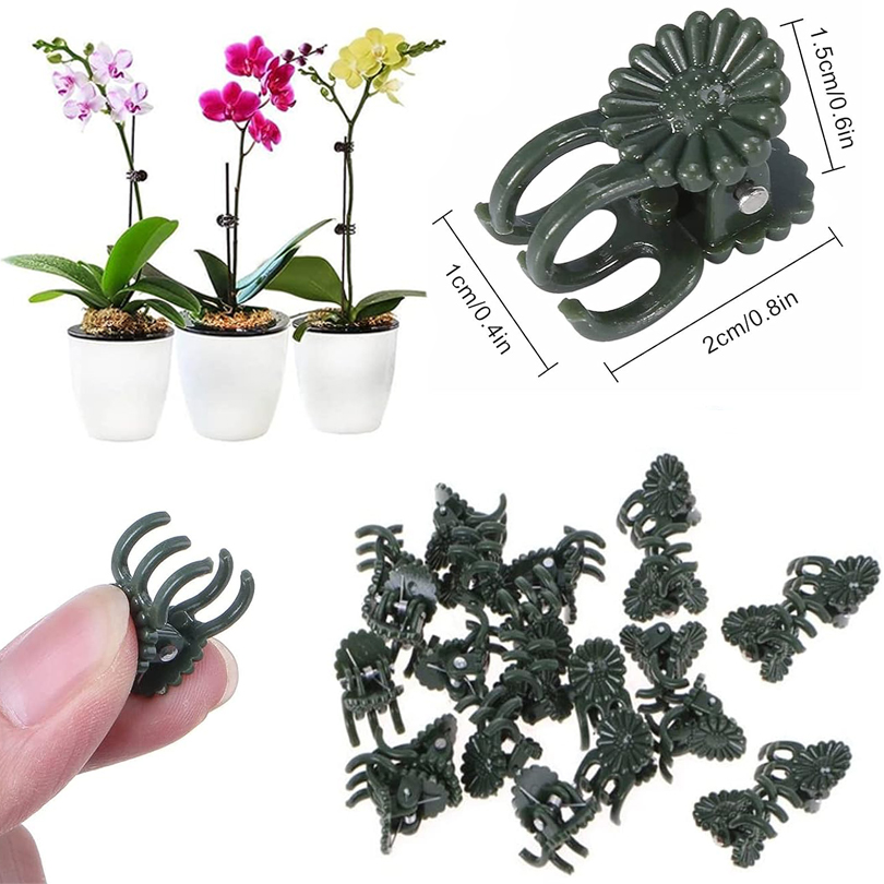 20/50/100PCS Plant Clips Vine  - Gardening Tools Usa 评论和价格