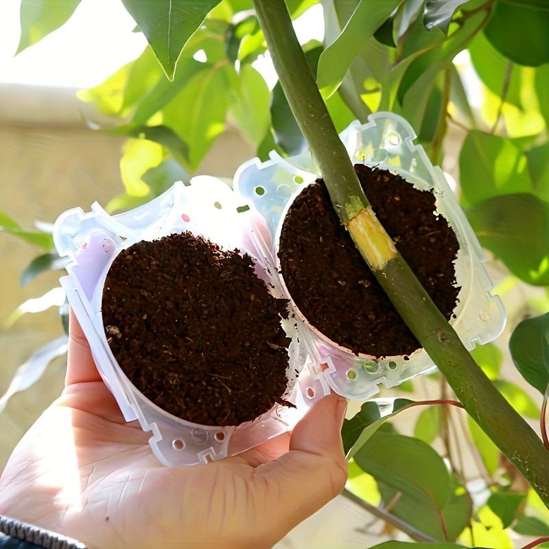 10Pcs High Pressure Plant Root - Gardening Tools Kit 评论和价格