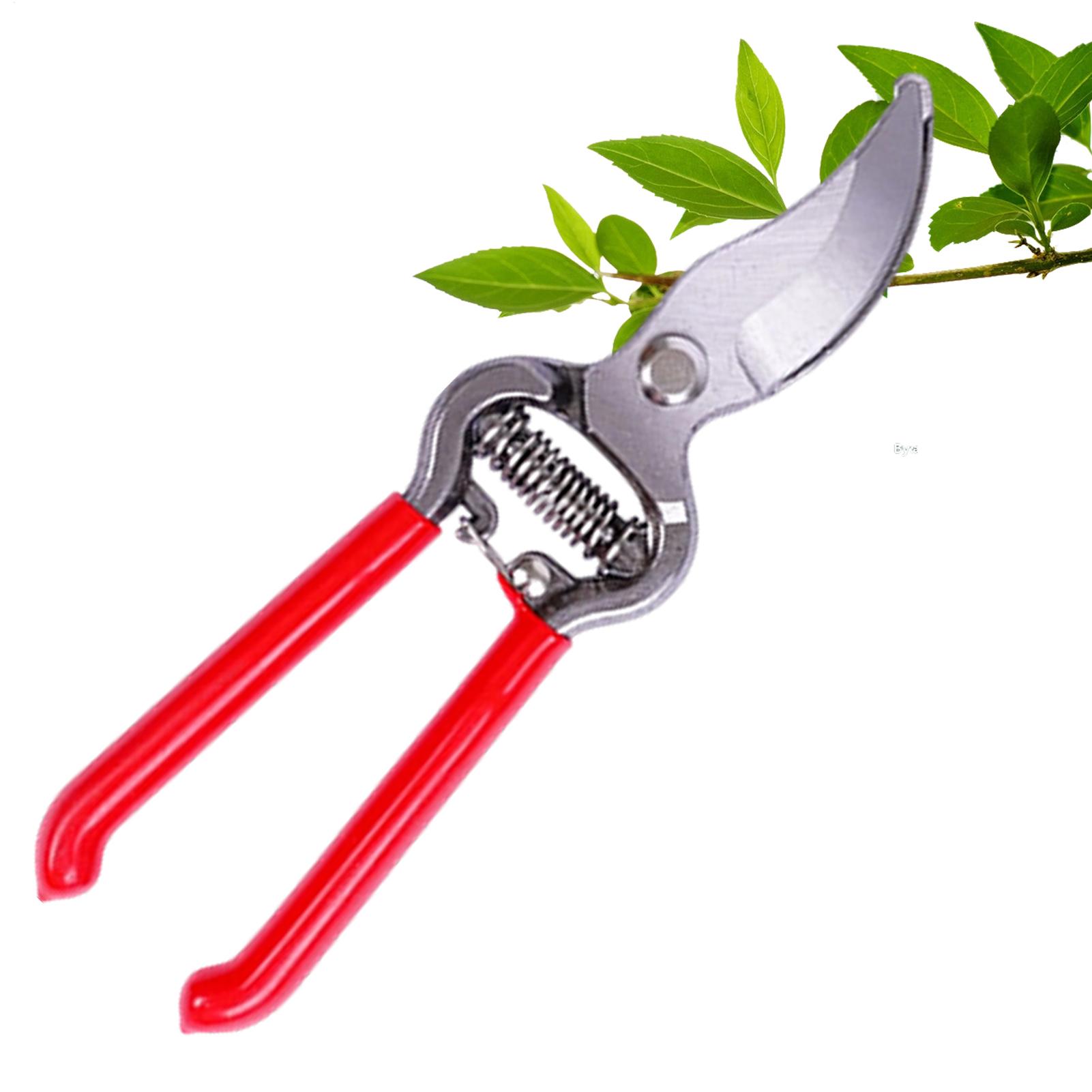 Plant Shears Potted Plant Hand - Pruning Shears 评论和价格