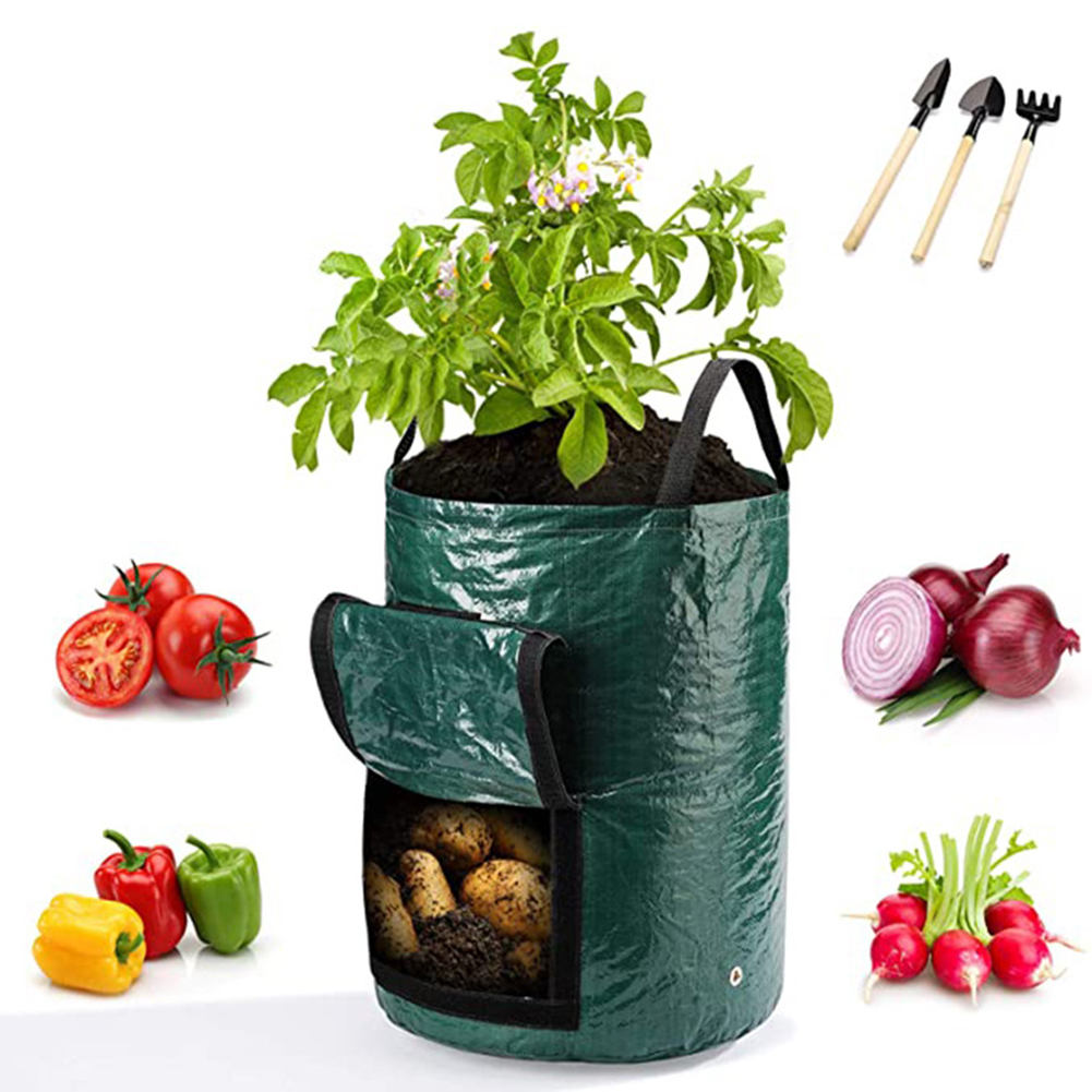 1pc 10-Gallon Grow Bags For Ve - Grow Bags 评论和价格